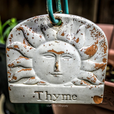 nothing but thyme