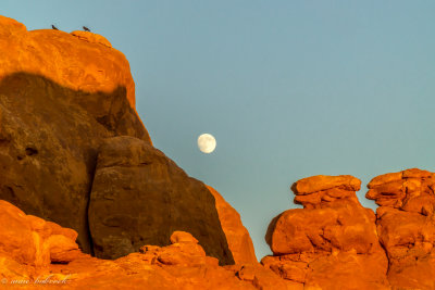 arches moonrise 2.jpg