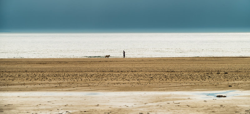 Cotentin