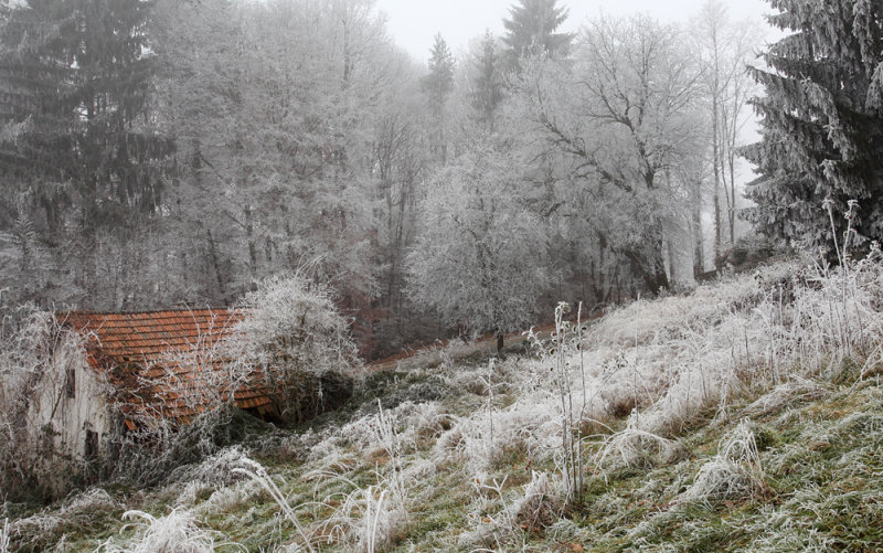 winter frost - zimska zmrzal (_MG_3486m.jpg)
