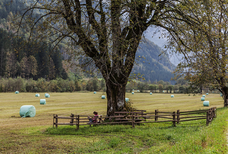 Logarska dolina Slovenija (_MG_7004m.jpg