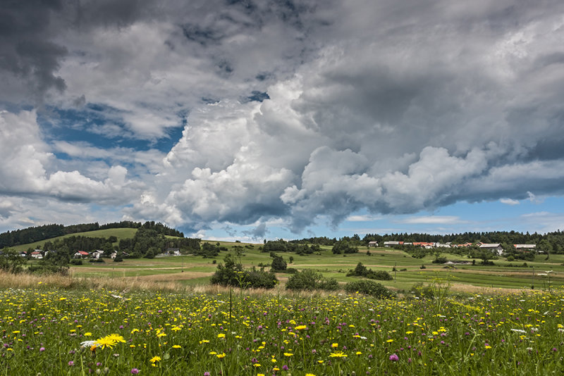 meadow Slovenija (_MG_3699m.jpg)