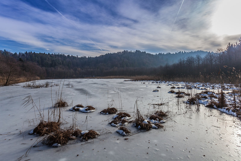 winter on the pond - zima na ribniku (_MG_2546ok.jpg)
