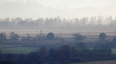 fog on swamp - megla na barju (_MG_1449m.jpg)