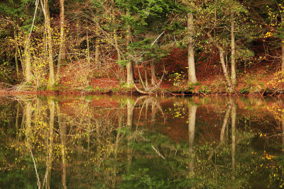 autumn reflection - jesenski odsev (_MG_1525m.jpg)