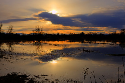 sunset on swamp - sončni zahod barje (_MG_9476_7_8_tonemapped-m.jpg)