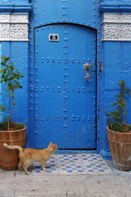 walls, gates, architecture, details of Marocco - zidovi, vrata, detajli arhitektura Marocco (_MG_0230ok.jpg