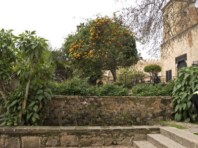 garden - Marocco (IMG_1928ok.jpg)