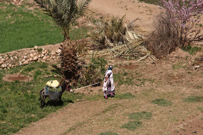 oasis - Marocco (_MG_1117ok.jpg)