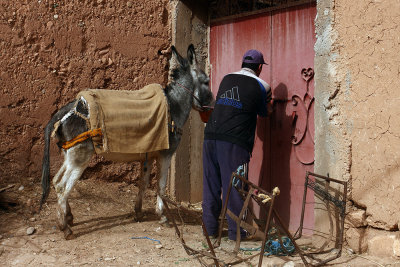 man and donkey - Marocco (_MG_1550ok.jpg)