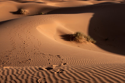 shadows of desert - Marocco (_MG_0803ok.jpg