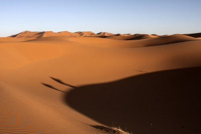 shadows of desert - Marocco (_MG_0838ok.jpg