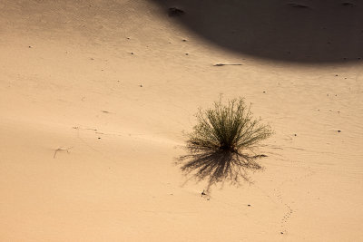 shadows of desert - Marocco (_MG_0853ok.jpg