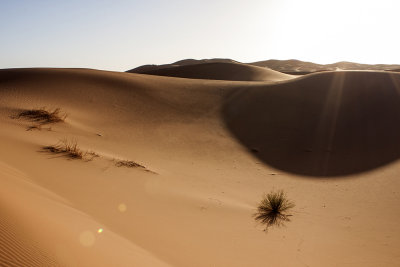 shadows of desert - Marocco (_MG_0854ok.jpg