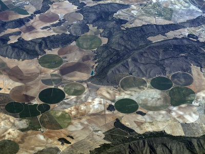 fields circles in Spain (IMG_2581ok.jpg)