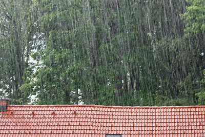 rain - de (_MG_5328m.jpg)