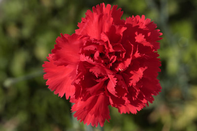 g9/87/976887/3/157972267.v5Ow8x9R.jpg