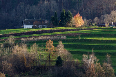 homestead in Slovenija (_MG_0250m1.jpg)