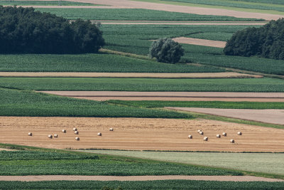 fields Slovenija (_MG_3033m.jpg)