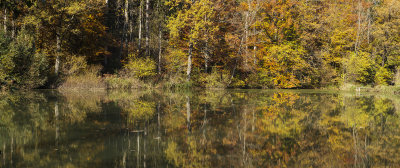 autumn colors (Untitled_Panorama3m.jpg)