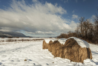 hay at winter (IMG_0009m.jpg)
