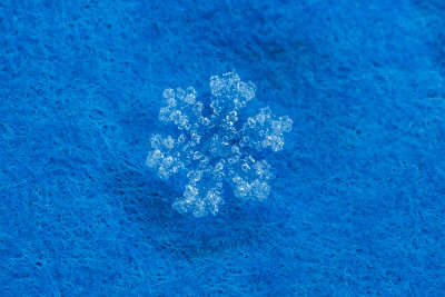 snowflake (_MG_2956m.jpg)