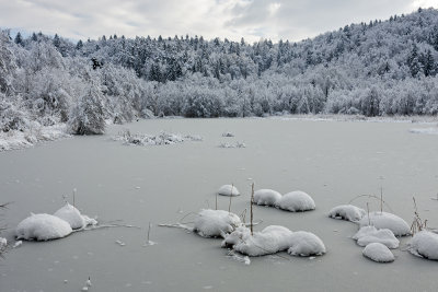 winter at pond (_MG_8147ok.jpg)