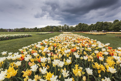 arboretum_volcji_potok