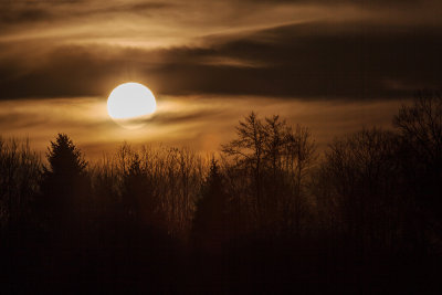 sunrise (_MG_2671ok2.jpg)