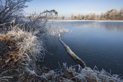 frost at pond (IMG_9025ok copy.jpg)