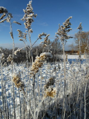 A perfect Xmasy walk - Boze Narodzenie 2014