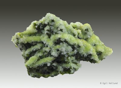 prehnite