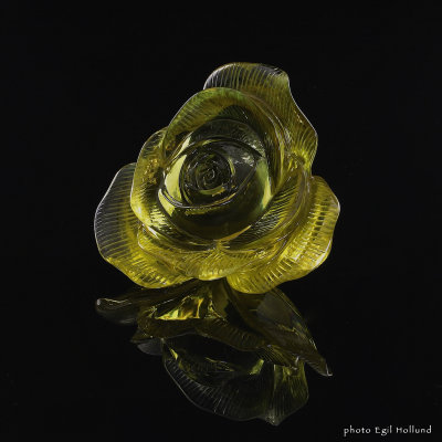 Citrine Rose