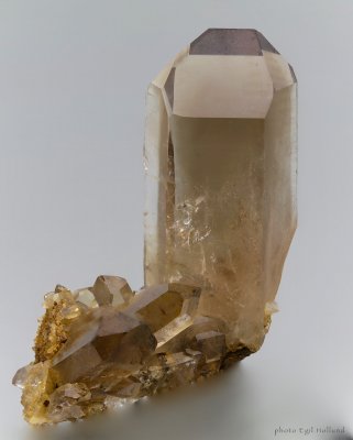 Nibbeut