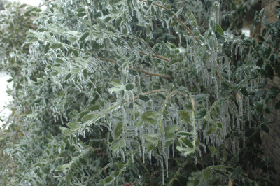 DSC_4770.jpg