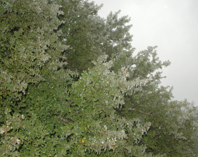 DSC_4786.jpg