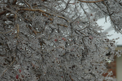 DSC_4791.jpg