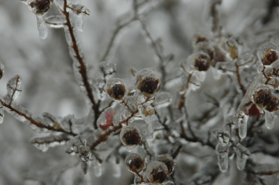 DSC_4797.jpg