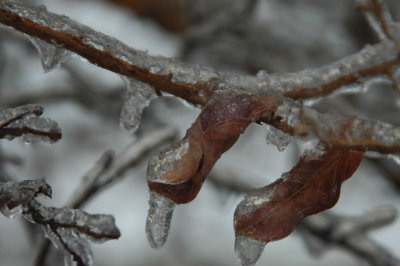 DSC_4800.jpg
