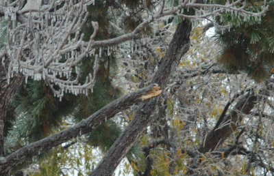 DSC_4804.jpg