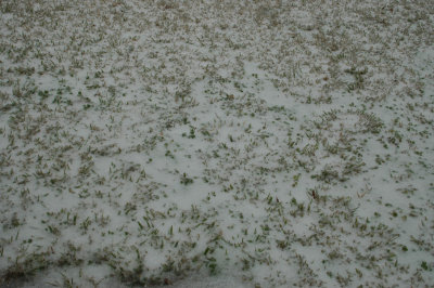 DSC_4808.jpg