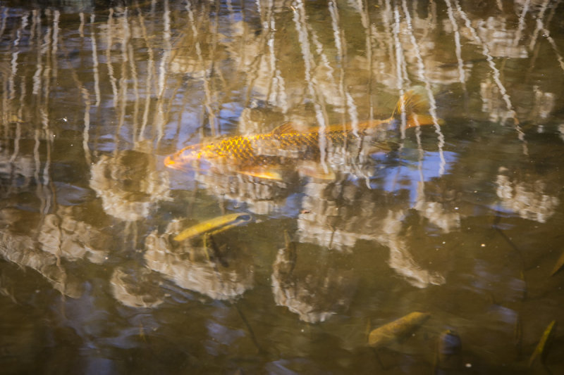 20120313-_MG_7114.jpg