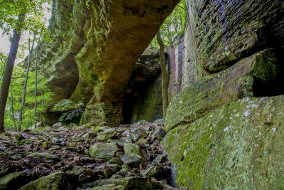 20090608-_MG_3234.jpg