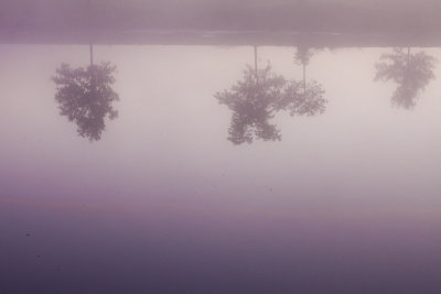 20110920-_MG_5369.jpg