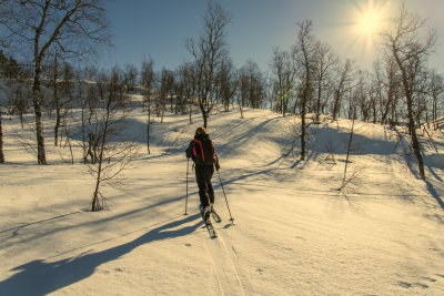 From Grndalen towards Sunndalsnipa