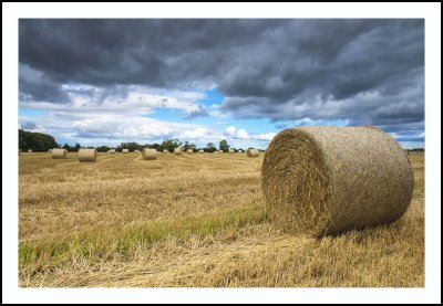 HayField.jpg