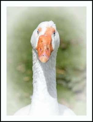 DSC_3746.jpg