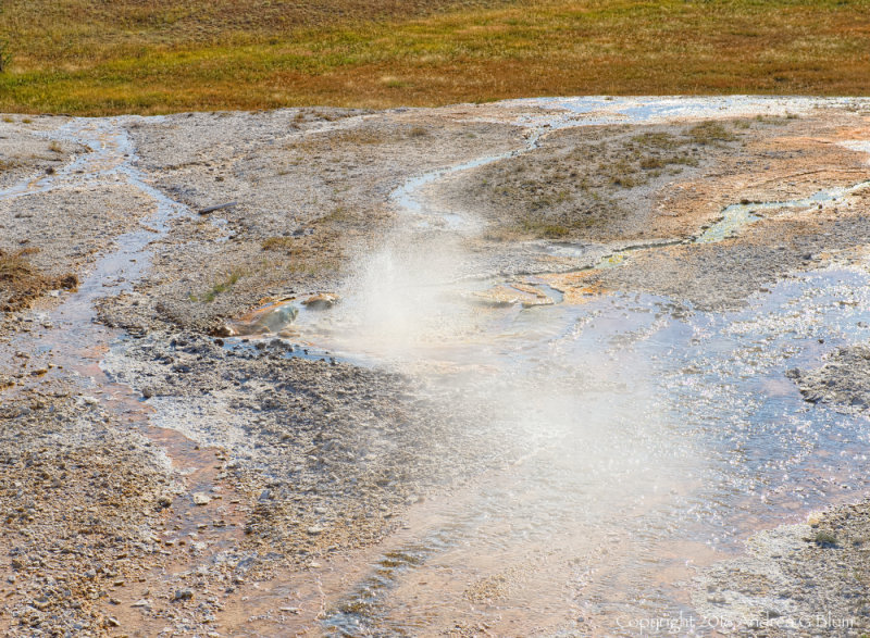 Steam