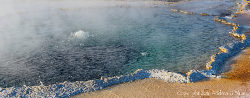 Crested Pool (detail)