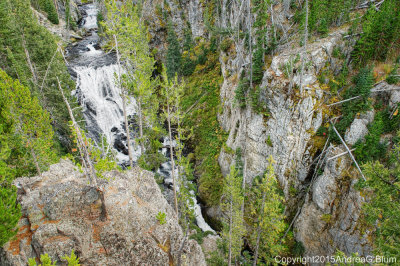 Kepler Cascades